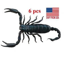 6 Real Giant Scorpion Mounted 7” or 17cm Large Beetle Insect Bug Entomology  picture
