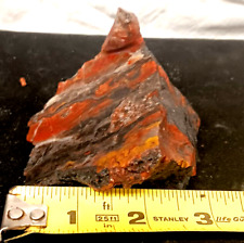 Utah Petrified Wood Rare Red Yellow Black Volcanic Polish Display Cabochon Cut picture