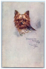 Postcard Yorkshire Terrier (Toy) Sketchy Dog Studies c1910 Oilette Tuck Dogs picture