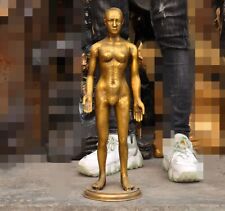 Bronze brass Nude Medical Science Acupuncture People Human Body Model Statue picture