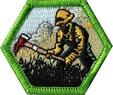 Test Lab Merit Badge WILDLAND FIRE MANAGEMENT patch - 1-1/2 inch picture