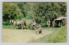 MA-Massachusetts, Family Farming, Amish Family, Antique, Vintage Postcard picture
