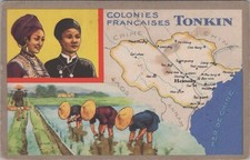 French Colonies Tonkin Map Vietnam Rice Field Black Lion HPV3 picture