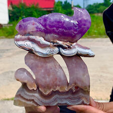 478G Dream of Nature Amethyst Crystal Handcarved Indigenous Healing picture