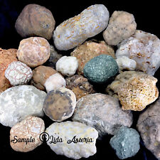 5Lbs Whole GEODES AGATES NODULES Lapidary Uncut Semi to Solid Unopened Quartz KY picture