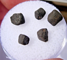 .695 grams for all 5 crusted individuals Chelyabinsk Meteorites LL5 Russia + COA picture