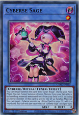 YuGiOh Cyberse Sage CYAC-EN033 Common 1st Edition picture
