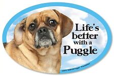 Life's better with a Puggle 6