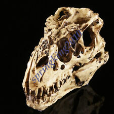 Tyrannosaurus T-Rex Skull Resin Fossil Model Dinosaur Collectibles Replica New picture