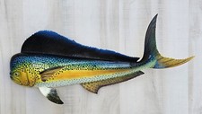Mahi Hand Painted 28" Replica Dorado Wall Mount Sculpture Game Fish Salt Water  picture