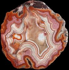Very Large Dryhead Agate Mirror Polish picture