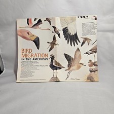 Map of Bird Migration 1979 National Geographic picture