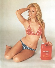 ‘Dian Parkinson’ Vintage Pin-up Photograph 8X10 Color Photo “STUNNING” 1973💋 picture
