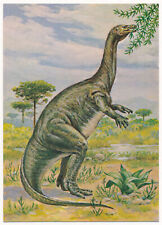 Plateosaurus Dinosaur - Triassic Period - Matthew Kalmenoff Postcard picture