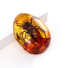 10pcs/lot Amber Scorpion Fossil Insects Manual Polishing Lucky Holiday Gift Mini picture
