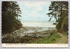 Olympic Peninsula Washington, Pacific Seacoast, Vintage Postcard picture