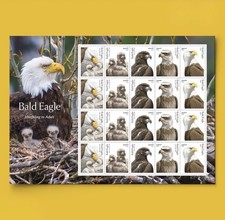2026 Bald Eagle Forever Stamps Sheet of 20 Nature, Birds, Eagle picture