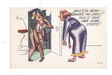 VTG 1950s Humorous Postcard Where are the Girls? This is Your Home Stupid Unpost picture