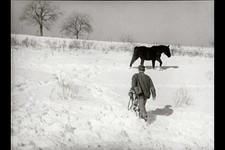 Photo:Ross County Ohio Ira Ison Horse Farm 1940 Snow Scene picture