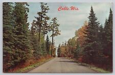 Cable Wisconsin, Birch and Pine Trees Line the Roadway, Vintage Postcard picture
