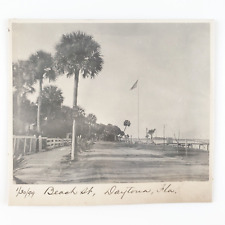 Daytona Beach Street Florida Photo c1899 Road US Flag Palm Tree Card Art B1651 picture