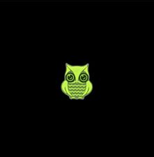 New Rare Prometheus Design Werx Owl Cat Eye Tad Gear 5.11 SOE MA PDW🦉 picture