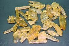 Copal Amber 2 Oz Lot Insect & Plant Inclusions Natural Fossil Resin Madagascar picture