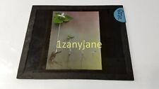 QIR Glass Magic Lantern Slide Photo PROGRESSION OF SEED/PLANT GROWTH picture