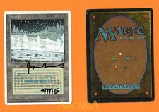 Tundra - Foreign White Bordered - IT - PL - SIGNED - ALTERED - Mtg picture