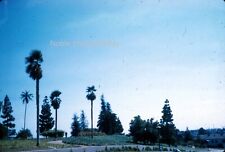 1959 Hollywood Roadside View Los Angeles Kodachrome 35mm Slide picture