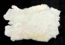 6 REAL NATURAL WHITE GENUINE RABBIT SKIN  hides fur pelt craft skins rabbits NEW picture