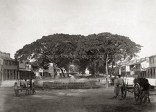 Marine Square Trinidad West Indies Fountain Park Carts Vtg. Photo 19thC. picture