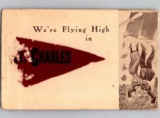 c1910 Flying High In St. Charles Missouri MO Greeting Felt Banner Flag Postcard picture