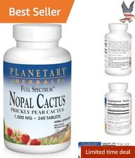 Powerful Nutrient-Rich Pure Nopal Cactus Capsules - Minty Refreshing picture