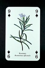 1 x playing card of the herb Rosemary - 9 of Spades picture