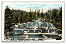 Bonneville Fish Hatcheries Columbia River Highway OR Oregon UNP WB Postcard N19 picture