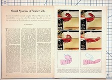 Donald Kennedy "Small Systems of Nerve Cells" Neurobiology Article Ephemera picture