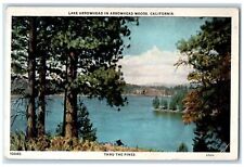 1927 Lake Arrowhead Woods Thru Pines River California Vintage Antique Postcard picture