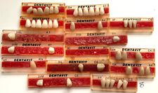 vtg DENTURE TEETH LOT false tooth set Dentavit Dentorium dentist Halloween prop picture
