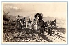 Death Valley California CA Postcard RPPC Photo Horses Wagon Scene Field 1935 picture