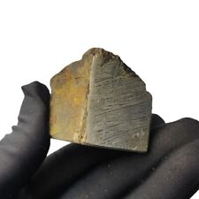 120g Muonionalusta meteorite slice TC188 picture