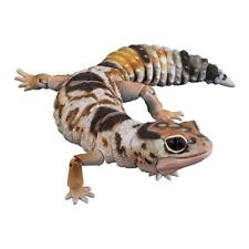 Bandai Gashapon West African Fat-tailed Gecko Action Figure ADVANCE Whiteout picture
