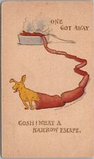 Vintage 1905 Animal Comic Postcard Dog / Sausage Links 