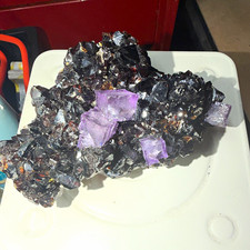 ELMWOOD MINE Purple Fluorite on High-Luster Sphalerite 1lb 2oz Cabinet Specimen picture