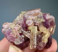 215 Carat Beautiful Watermelon Tourmaline Crystal Bunch From Afghanistan picture