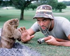 Bill Murray Caddyshack Gopher 24x36 inch Poster picture