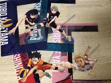 Haikyuu Clear Visual Poster picture