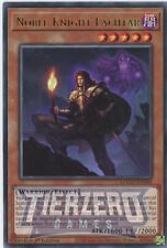 Yugioh Noble Knight Eachtar MAGO-EN084 Rare 1st Edition NM/LP picture