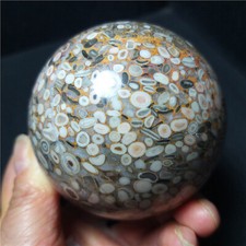 TOP 471.8G 68mm Natural Polishing Ocean Jasper Ecology Ball Healing Stoae BA1330 picture
