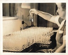 1937 United States Public Health Service Syphilis Blood Test By Photo 5X7 picture